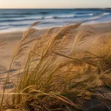 Dune et végétation d'une côte naturelle protégée