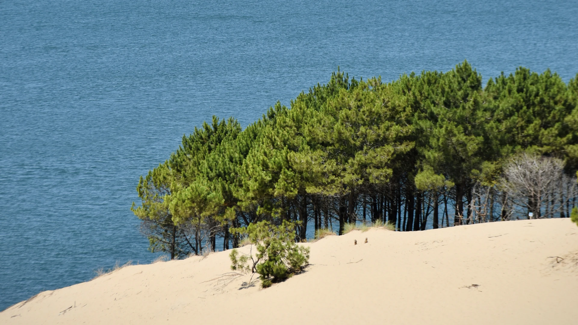 Vue depuis la Dune du Pilat sur le bassin d'Arcachon et l'océan Atlantique