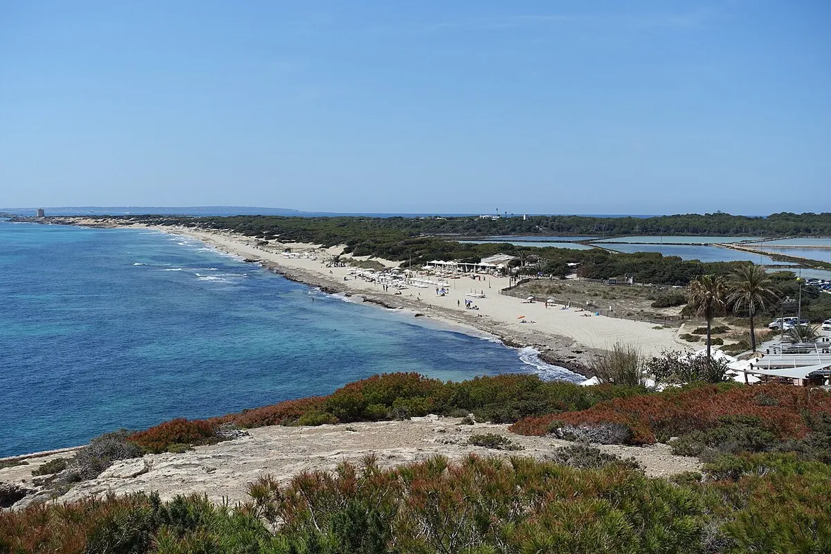 Vue en hauteur sur la longue plage de sable d'Es Cavallet, à Ibiza, qui s'incurve le long d'une eau bleue avec de la végétation derrière
