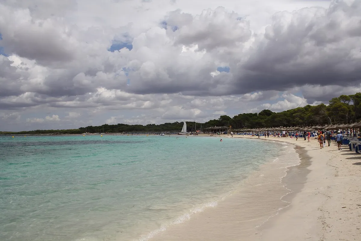 Plage de sable clair et eau turquoise à Es Trenc, à Majorque, avec une lisière de pins