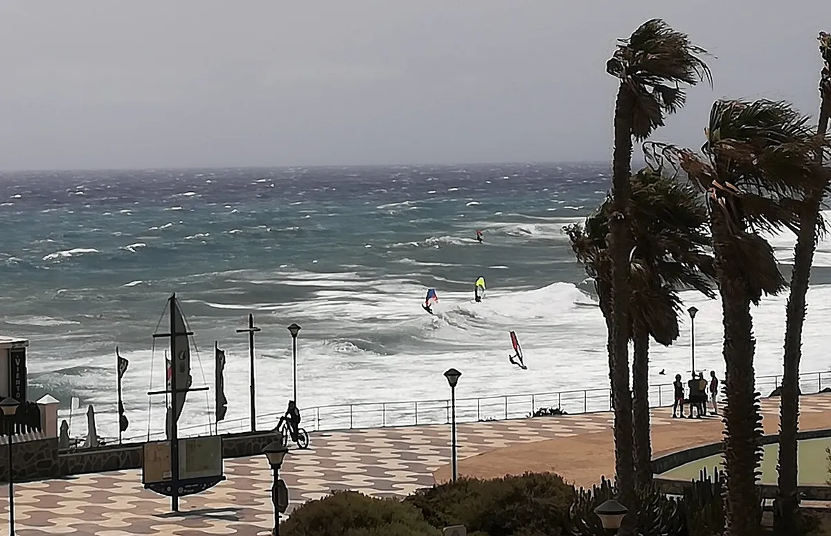 Planchistes dans la baie de Pozo Izquierdo, vus depuis la promenade dont les palmiers sont courbés par le vent