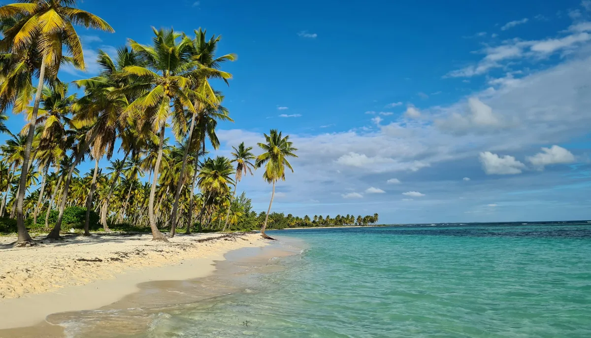 Plage de sable blanc bordée de palmiers et eau turquoise sur l'île de Saona, Caraïbes