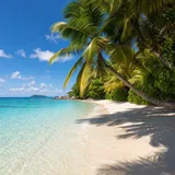 Plage tropicale bordée de palmiers